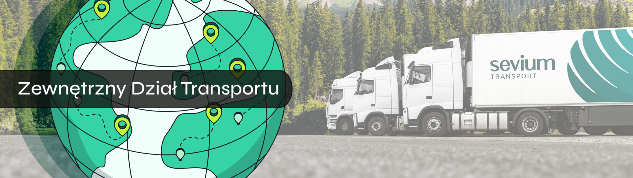 Sevium | Zewnętrzny Dział Transportu czy spedycja? Które rozwiązanie ma sens dla Twojej firmy