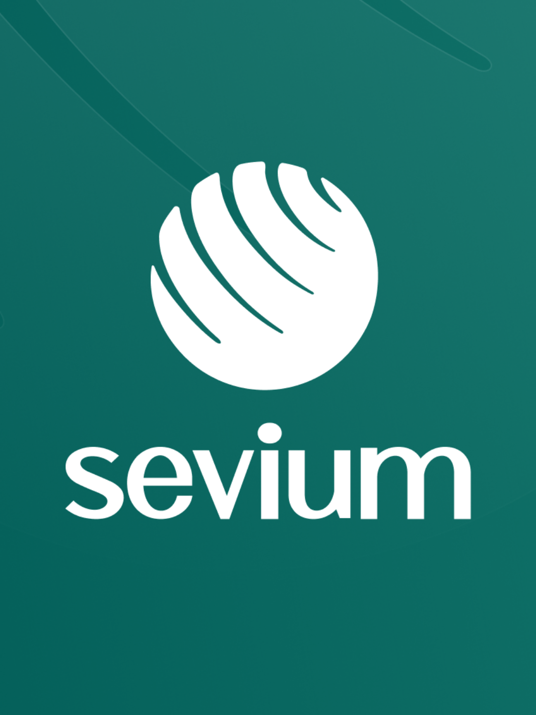 Sevium | Zewnętrzny Dział Transportu czy spedycja? Które rozwiązanie ma sens dla Twojej firmy